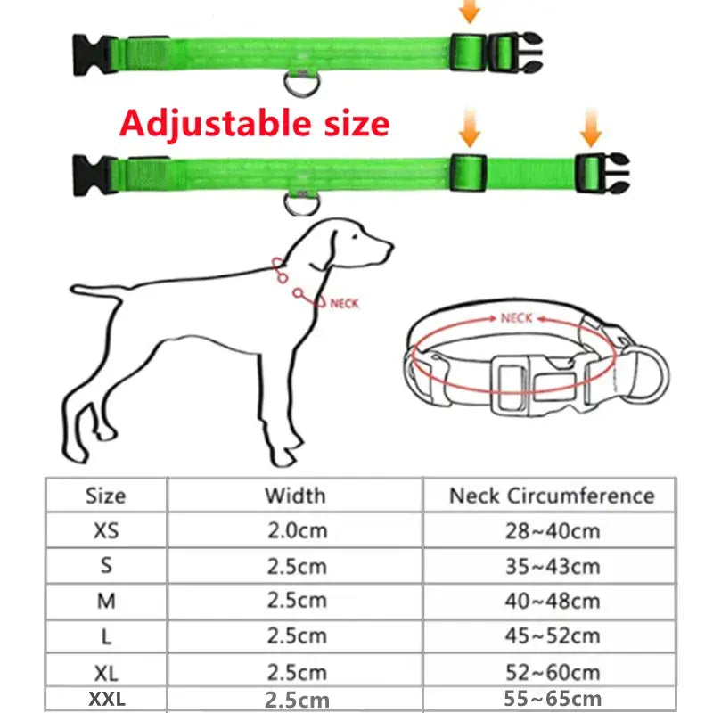 NightGlow Collar: Stylish LED Safety for Small Dogs!