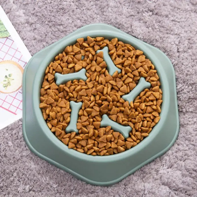 Slow-Feed Pet Bowl: PawsitiveFeed Pro