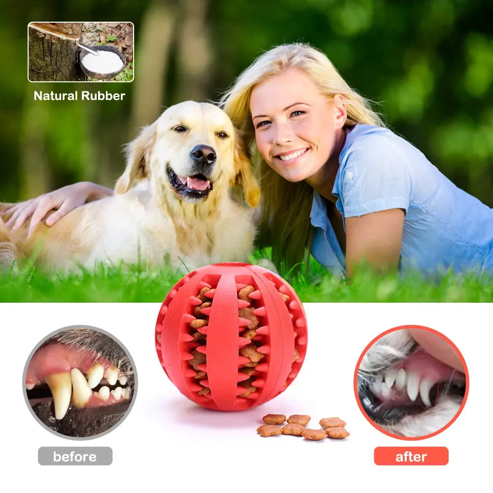 PawPlay Toys: Interactive, Chewy, Dental Care.