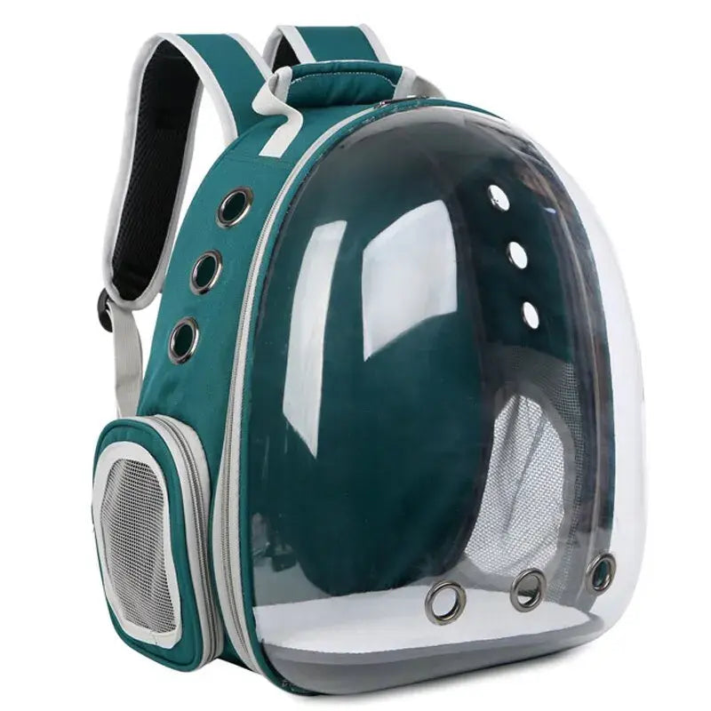 See and Be Seen: Transparent Pet Backpack For Your Best Friend.